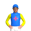 Blue, Pink Fleur De Lys, Yellow Sleeves.