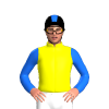 Yellow, Black Rooster, Blue Sleeves, Blue Stripe Cap