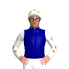 Deep Navy, Mailbag Bloodstock Logo, White With Orange Spots Sleeves And Cap