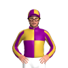 Purple And Gold Quarters, Striped Sleeves, Quartered Cap