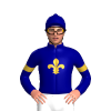 Navy Blue, Gold Fleur De Lys And Armbands, Navy Blue Pom Pom