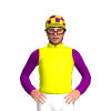 Yellow, Purple Diamond And Sleeves, Checked Cap