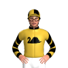 Gold, Black Swan, Collar And Cuffs, Chevrons Sleeves, Quartered Cap