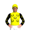 Yellow, Black Horseshoes, Black Sleeves With Yellow Horseshoes, Yellow Cap With Black Horseshoes