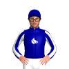 Dark Blue, White Flames, Striped Sleeves