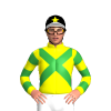 YELLOW, GREEN CROSSED SASHES, YELLOW SLEEVES, GREEN HOOPS, BLACK CAP, YELLOW STAR, WHITE PEAK