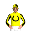 Yellow, Black Horseshoe, Striped Sleeves, Quartered Cap