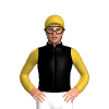Black And White Diamonds, Gold Sleeves And Cap