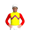 YELLOW, PURPLE ZIGZAG CHEVRON , RED SLEEVES, White cap