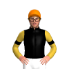BLACK, GOLD FIVE STARS, GOLD SLEEVES, BLACK ARMBANDS, Orange cap