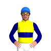 YELLOW, NAVY DOUBLE BAND, SLEEVES, Blue cap