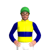 YELLOW, NAVY DOUBLE BAND, SLEEVES, Green cap
