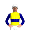 YELLOW, NAVY DOUBLE BAND, SLEEVES, White cap