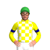 YELLOW, WHITE CHECKS, YELLOW SLEEVES, NAVY ARMBAND, Green cap