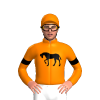 Jockey Silk