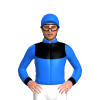 Jockey Silk