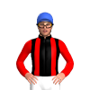 Jockey Silk