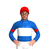 Jockey Silk