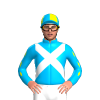 Jockey Silk