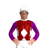 Jockey Silk
