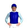Jockey Silk