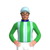 Jockey Silk