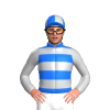 Jockey Silk
