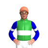 Jockey Silk
