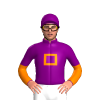 Jockey Silk