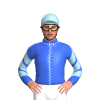Jockey Silk