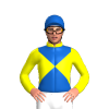 Jockey Silk