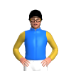 Jockey Silk