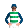 Jockey Silk