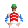 Jockey Silk