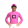 Jockey Silk