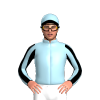 Jockey Silk
