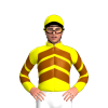 Jockey Silk