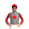 Jockey Silk
