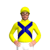 Jockey Silk