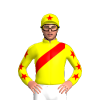 Jockey Silk