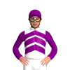 Jockey Silk