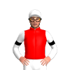 Jockey Silk
