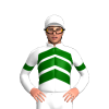 Jockey Silk