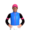 Jockey Silk