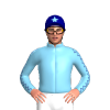 Jockey Silk