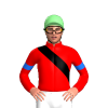 Jockey Silk