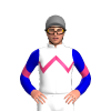 Jockey Silk