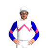 Jockey Silk