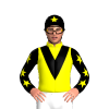 Jockey Silk