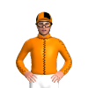 Jockey Silk